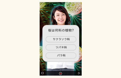 メディア クイズ番組