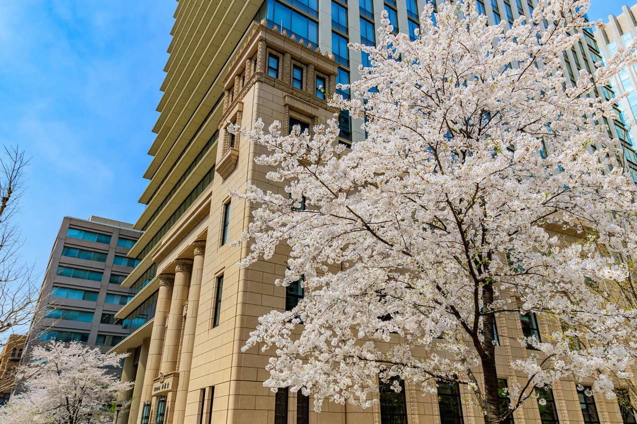 創立記念とは?その意味と実施する意義